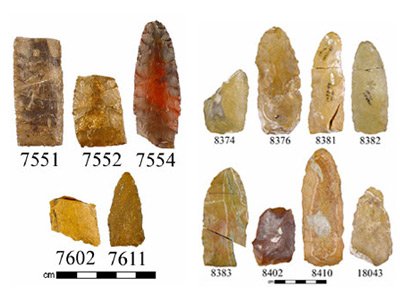 Various projectile points from the Lime Creek Site, 1993.