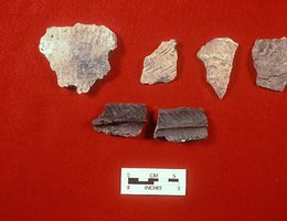 Shards of native-made pottery from the Eagle Ridge site in Nebraska