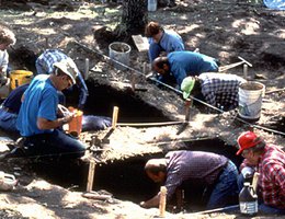 Geologists, paleontologists, archaeologists and sometimes anthropologists dig to find their evidence