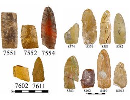 Various projectile points from the Lime Creek Site, 1993.
