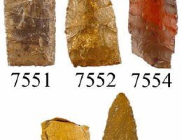 Various projectile points from the Lime Creek Site, 1993