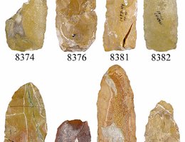 Various projectile points from the Lime Creek Site, 1993
