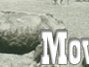 0507_0100header.jpg