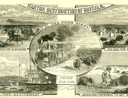 "Wanton Destruction of Buffalo", Kansas, 1872