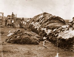 Hide yard owned by Charles Rath and Robert Wright, Dodge City, Kansas, 1874