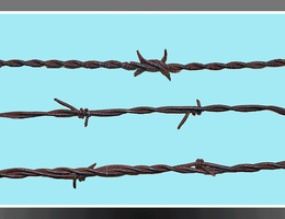 Barbed wire from the late 1800s