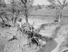 Results of Drought in Richardson County, Nebraska, 1938