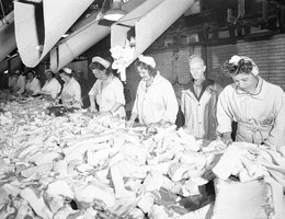 Women supervised by military personnel in meatpacking plant in World War II