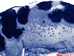 0805_0406hog.png