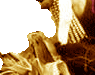 0805_0408corn.png