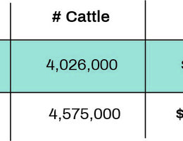 Cow Prices