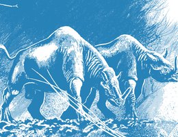 timelineimage_pre1500_geologicaltime